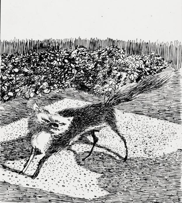001405_s.jpg 001405_s.jpg