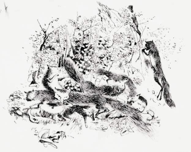 001621_s.jpg 001621_s.jpg