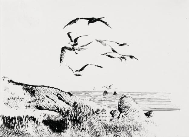 001667_s.jpg 001667_s.jpg